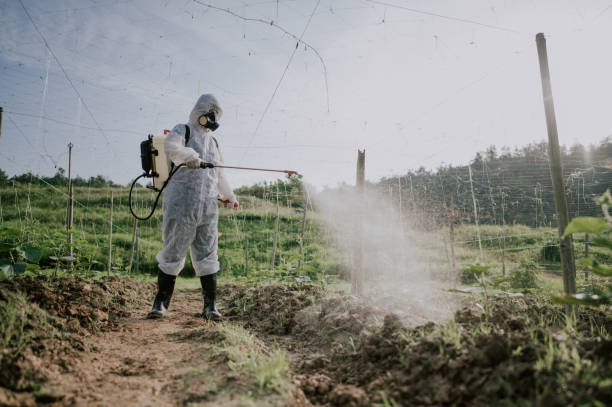 Best Local Pest Control Services  in Pablo, MT