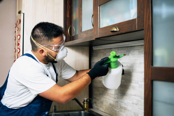 Pest Control for Restaurants in Pablo, MT