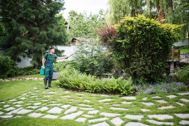 Best Affordable Pest Control Services  in Pablo, MT