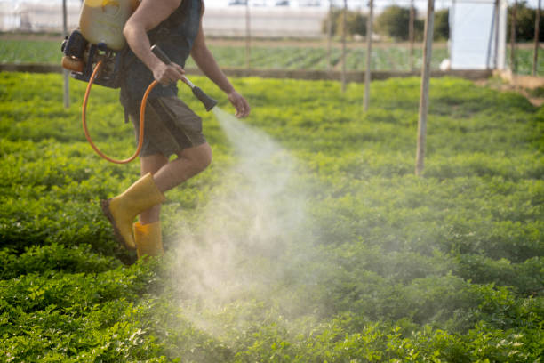 Professional Pest Control in Pablo, MT