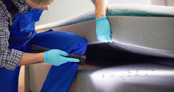 Best Affordable Pest Control Services  in Pablo, MT