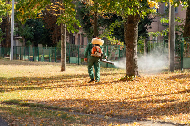 Best Insect Control  in Pablo, MT