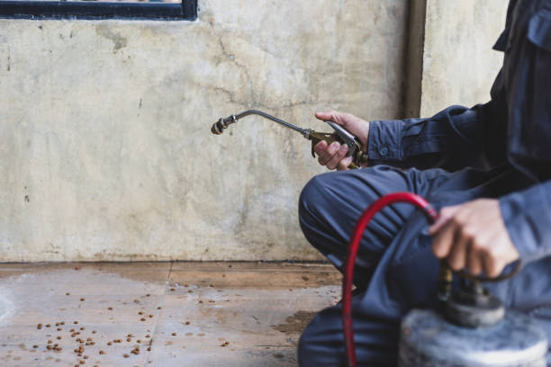 Best Affordable Pest Control Services  in Pablo, MT